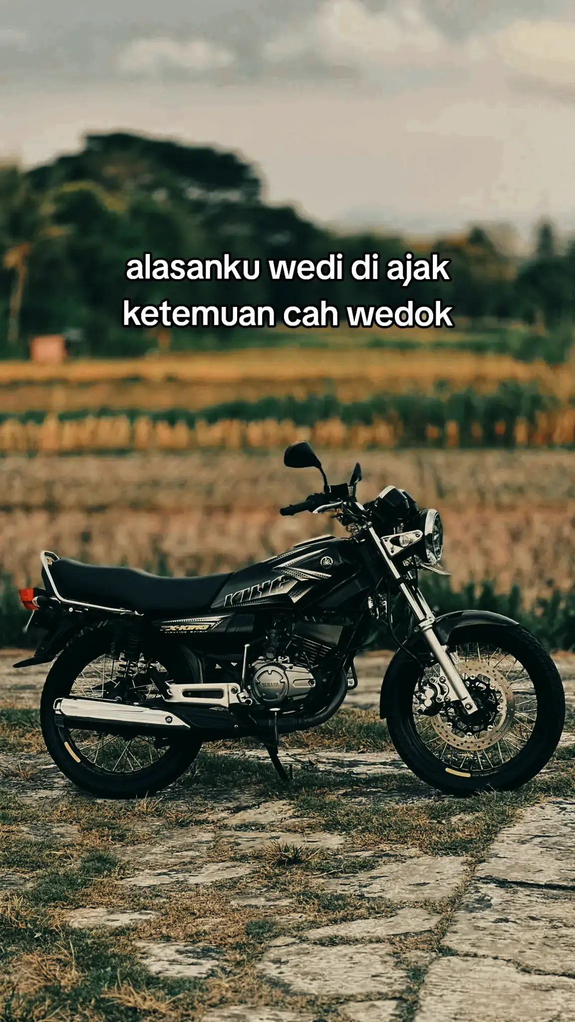 #galerirxking #rxkingperedam #rxkingindonesia #2setroke #fyp 