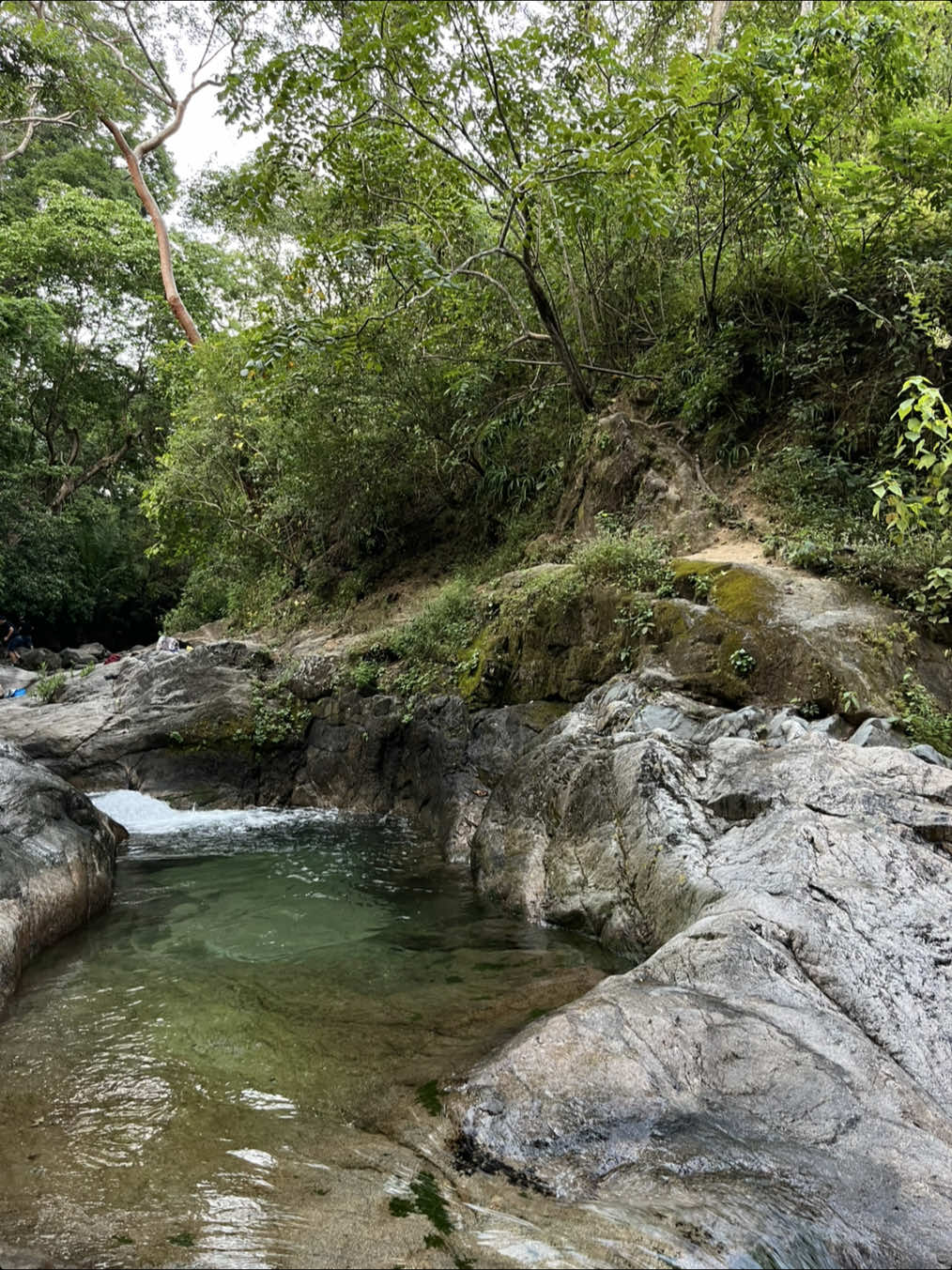 Piletas de Fortuna de Vallejo📍#derutaconangelito_adv #viajandoenmoto #mexico #piletasdefortunadevallejonay #visitandocascadasmexico 