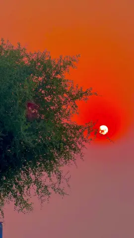 #پینڈاں_آلے #trending #foryoupage #dontunderreviewmyvideo #1million 