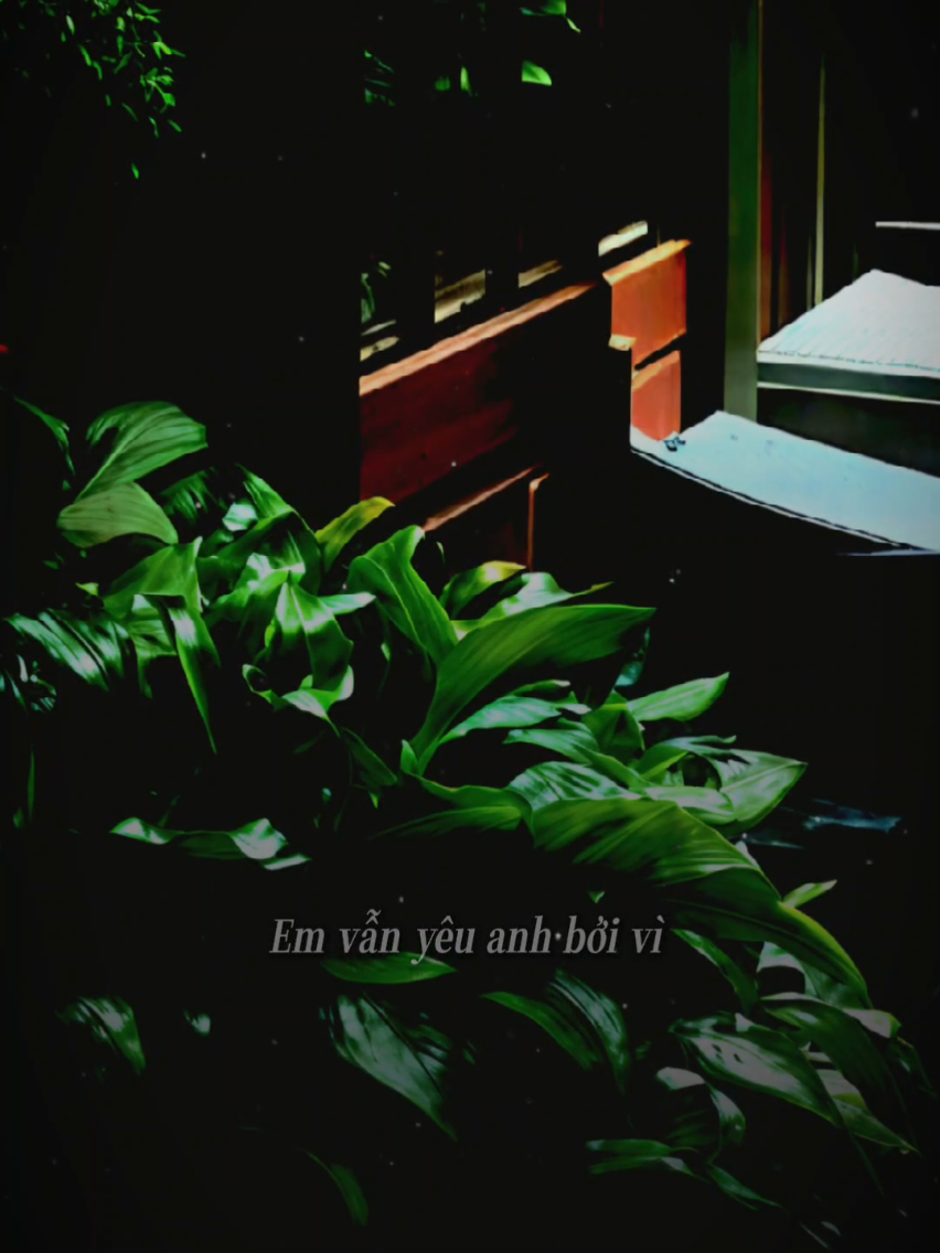 Tình yêu có đôi khi #tamtrang #xh 