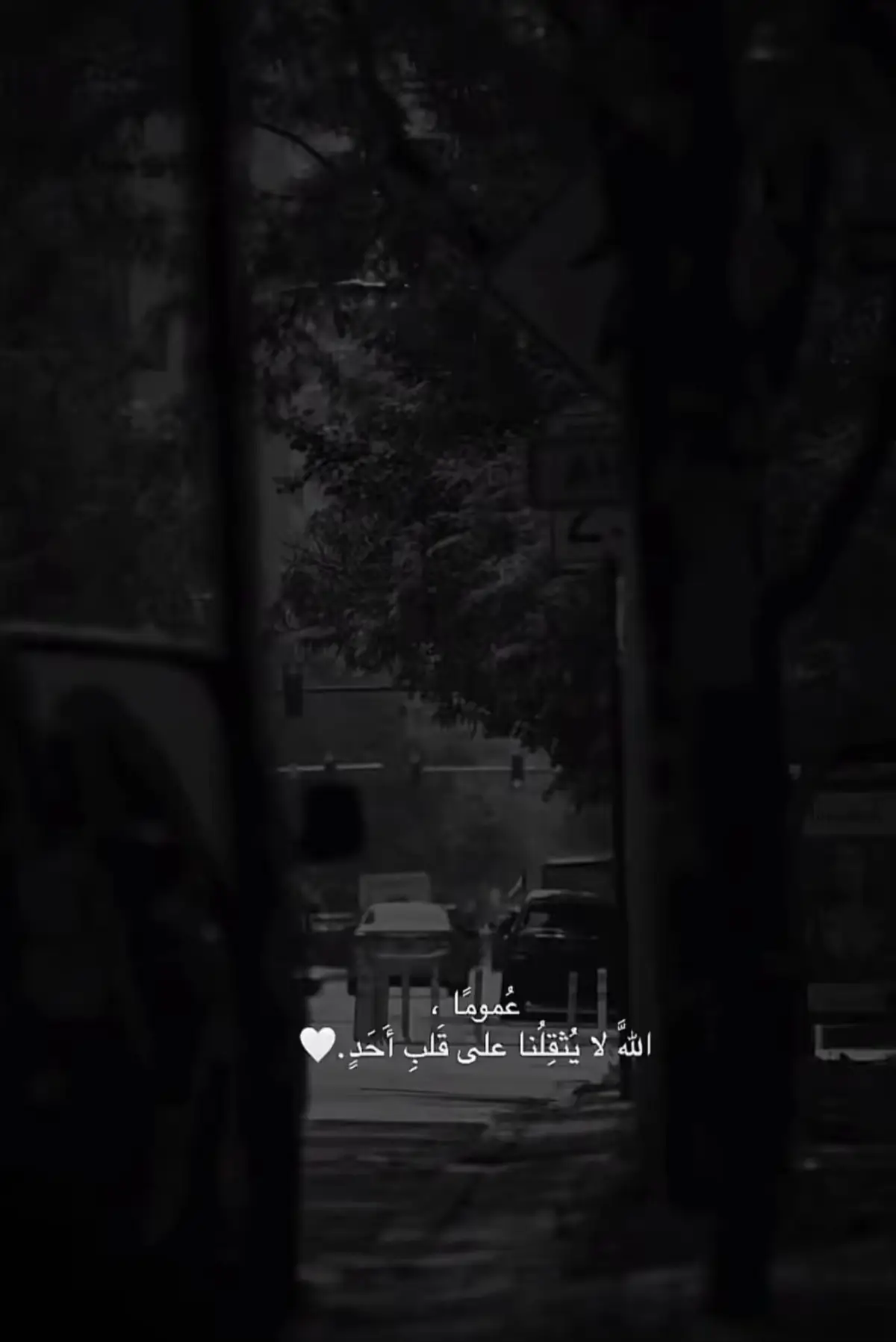 #مالي_خلق_احط_هاشتاقات #yyyyyyyyyyyyyyyyyyyyyyyyyyyyyy #الشعب_الصيني_ماله_حل😂😂 #الهاشتاقات_للرخوم #fyp 