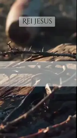 Rei Jesus 👑  #Jesus #tipografiagospel #jesusestavoltando #jesusislord #jesuslord 