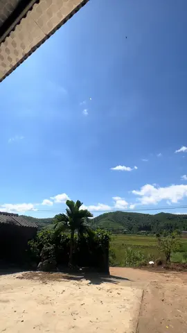 Bao giờ mới có gió nữa thế các gừng nhân #dieusaothainguyen #dieusaovietnam #xuhuong #lenxuhuong #tiktok 