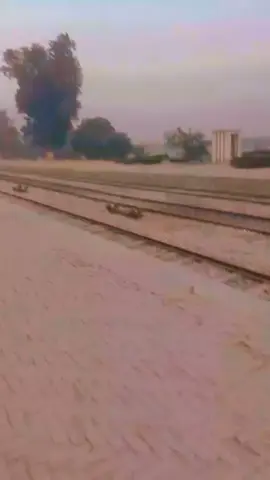 doshmano her koshesh ki mugh ko gearany main mager ma ki ♥️♥️♥️♥️♥️♥️