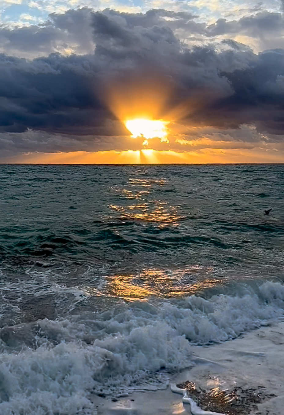 #miami #ocean #sunrise #sunset #sky 