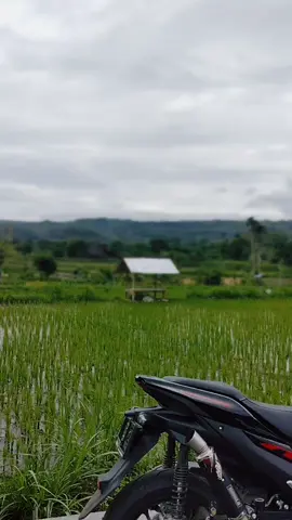 Udara segar pagi hari 😶‍🌫️ #fyp  #aerox  #CapCut  #situbondo 