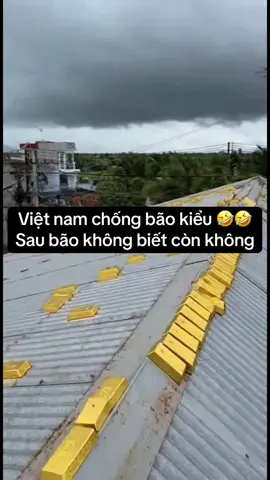 #bão13 #bão #tintuc #vang9999 #ilovetiktok 