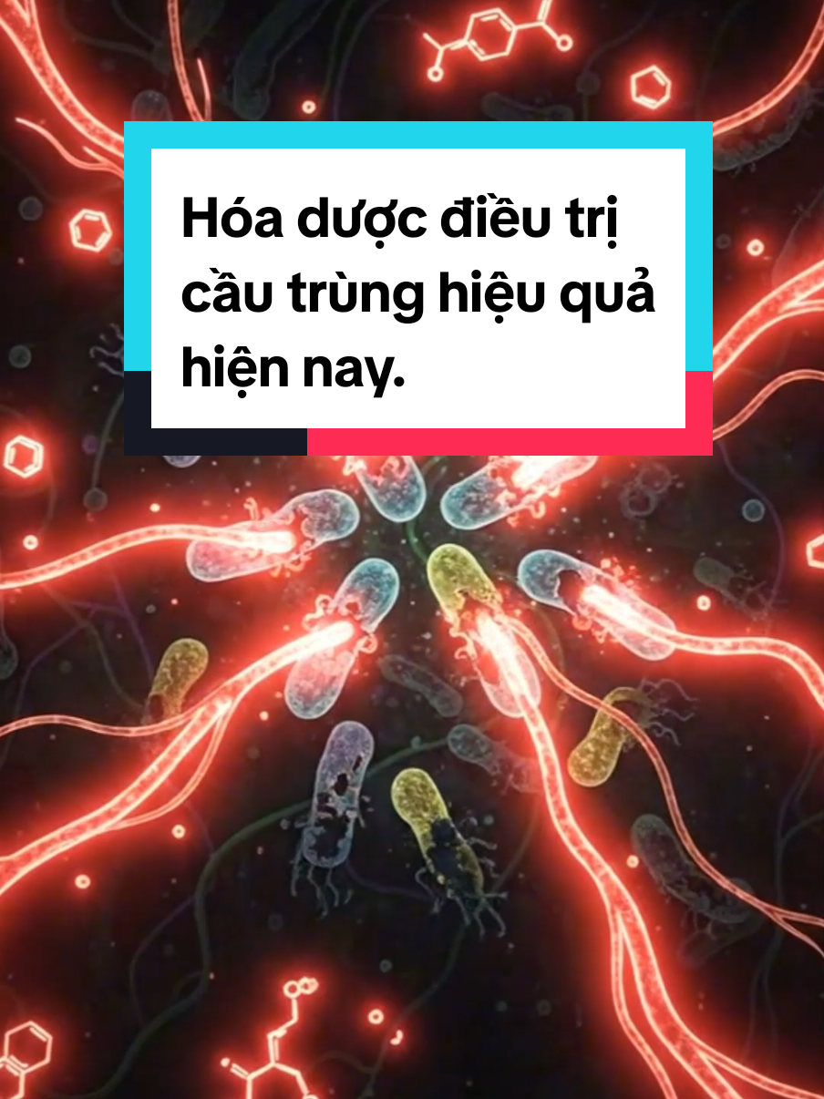 Một loại hóa dược điều trị cầu trùng hiệu quả hiện nay #cầutrùnggà  #vecopharma  #thuốccầutrùngchogà 
