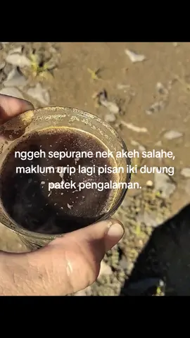 #4upage #ternosuntek #xyzbca #jowopride #fyp 