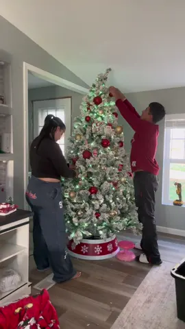 Christmas is almost here #fyp #organization #decorate 