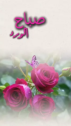 #صباحكم_أحلى_صباح🌹🌹 