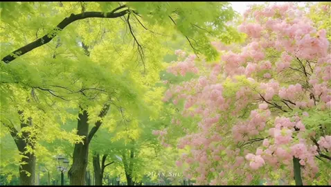 #xuhuong #motchutbinhyen #chualanh #binhyen #fyp 