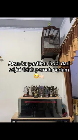 🤙🏻#kenarimaniaindonesia #kenarikediri #fyp #fypagetiktok #xybca 