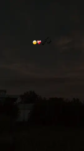 Javeed Shah Darman Saib ❤️‍🩹#poetry #sad #tiktok #fyp #foryoupage 