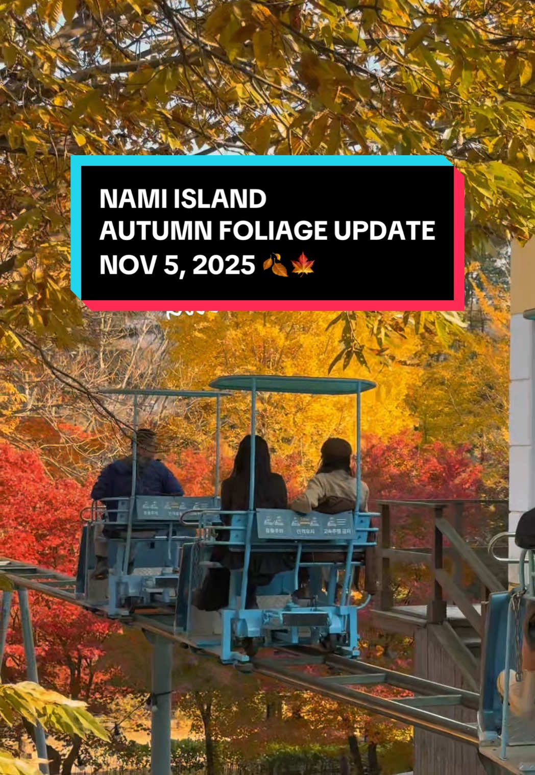 nami, u will always be beautiful in my eyes 🍁🥹 but to he here in autumn is another level of magic 🍂 🏷️ all-year klook discount: 𝗠𝗜𝗠𝗜𝗫𝗞𝗟𝗢𝗢𝗞 #koreaweathertoday #autumn #namiisland#autumnfoliagee #update 
