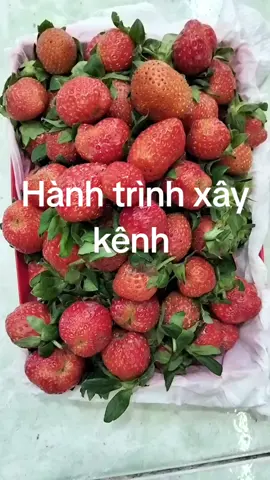 Hành trình xây kênh#nguyenmai  #cuocsongthuongngay #hanhtrinhxaykenh #hashtagstiktok 