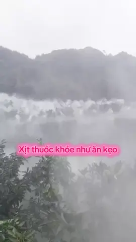 Tự động hóa nông nghiệp, nâng cao năng suất, bảo vệ sức khỏe người lao động. #bectuoicay #thuốcbaovethucvat #xitthuoctudong #bectuoiphunmua #tuoitudong 
