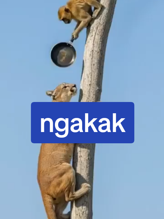 lucu ngakak #lucu  #ngakak  #lucu_ngakak  #ngakakkocak 