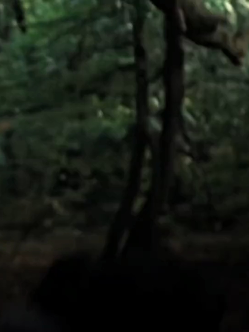 #CEDRICDIGGORY ; deadric👅 #cedric #diggory #cedricdiggoryedit #harrypotter #hufflepuff #fyp #fyppppppppppppppppppppppp #4u