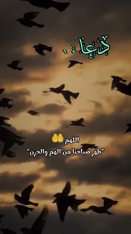 دعاء الصباح اللهم إني أسألك الثبات في الأمر  وأسألك العزيمة على الرشد وأسألك شكر نعمتك وحسن عبادتك  وأسألك قلبا سليما ولسانا صادقا وأسألك من خير ما تعلم وأعوذ بك من شر ما تعلم وأستغفرك لما تعلم، إنك أنت علام الغيوب #صباحكم_أحلى_صباح #صباحكم_معطر_بذكر_الله #صباح_الورد #صباح_الخير #صبحكم_الله_بالايمان_وطاعة_الرحمن 