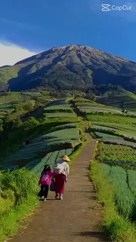 #fypシ゚viral🖤tiktok fouryou pagee#capcut