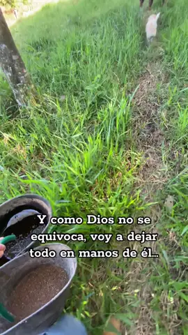 ⚡️🔥 #agropecuaria #ganaderia #levante #colombia 