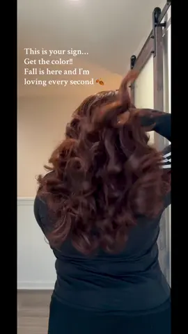 I fear… a new character has been unlocked. Comment “hair deets” for all hair info #hairstyleideas #fallhairinspo #blackgirlhairstyles #memphis #blowout 
