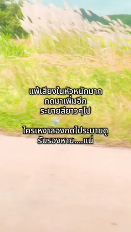 #ระบายสี #ระบายสีตามตัวเลข #ศิลปะ #DIY 