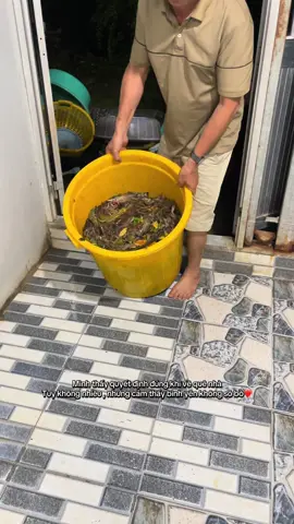 Cà Mau quê Tới - Sổ vuông đêm #anhbacamau🦐🦀 #tranvantoi2002 #camauquetoi 