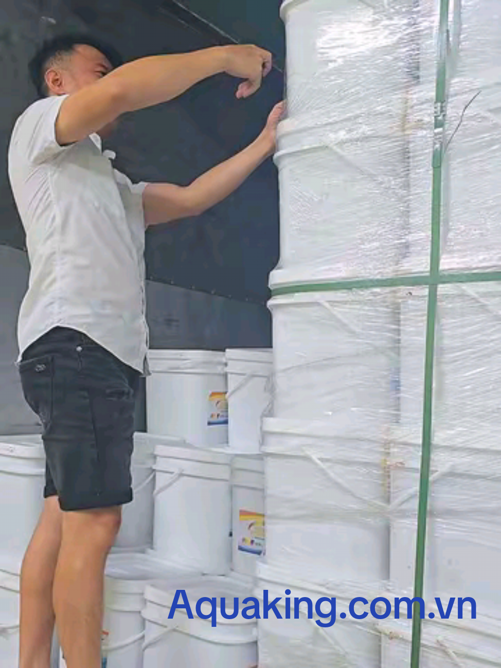 PREMIX VITAMINS - KHOÁNG SẢN PHẨM CẦN THIẾT CHO NUÔI TÔM CÔNG NGHỆ ! - HỖ TRỢ RÚT SIZE NHANH - TĂNG CƯỜNG ĐỀ KHÁNG, CHỐNG SỐC, STRESS NHẬP KHẨU CHÍNH NGẠCH  #nuoitomcongnghecao #tomthechantrang #viraltiktok #hottrend #Aquaking 