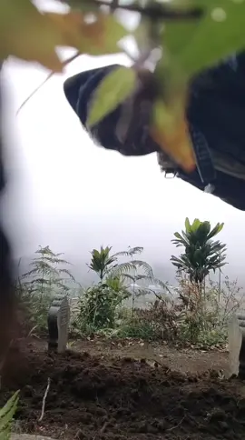 mugo mawon. gusti🤲🤲🤲🤲