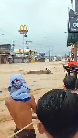 BAGYONG TINO HITS CEBU🥹🙏SAKIT SA DIBDIB SUNOD2x ang KALAMIDAD D PA NAKABANGON SA LINDOL AT ITO NA NAMAN AT MAY PAPARATING PA NA BAGYO TAMA NA LORD HINAY -HINAY LANG MAG PAPASKO PA KAMI 😭😭#fypシ #foryoupage #bagyongtino #cebu #cebuano