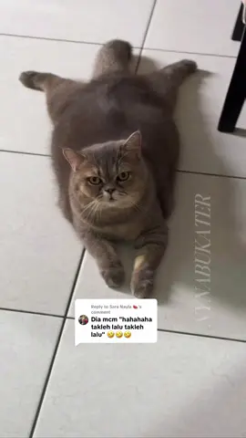 Replying to @Sara Nayla 🍉 aku mmg akan refund diorg ni kat Lost and Found