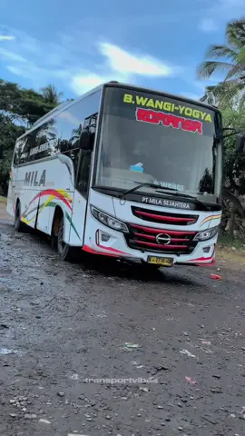 ROMANSA andyalan banyuwangi jogja via jember #busmania#busjawatimuran#sess#viral#fyp @lora@isengraceway1@Nayacaaaa_@ryan@MeikiAndrian71@PT. AKAS MILA SEJAHTERA 