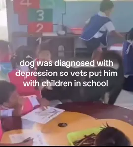 dog was diagnosed with depression so vets put him with children in school #emotional #viral #crying #fyp #saddog 