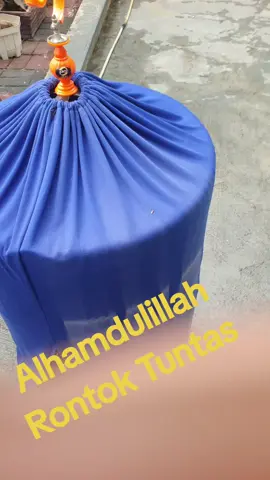 Masih Progres Jatuhkan Bulu Semoga Bisa Maksimal Setelah Ganti Bulu  #muraibatuindonesia  #Ringjojon  #muraibaloteli 