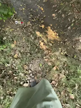 #viralvideosofficial #foryoupage #viralsound #trending #trandingvideo_viral_video 