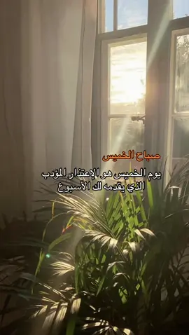 #صباح_الخميس_صباحكم_سعاده_🌷 