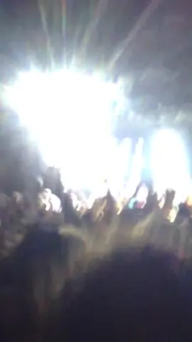 rottweiler #esdeekid london night 2 november 5th #fyp 