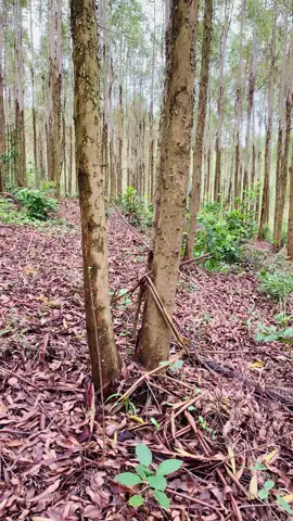 150 1h chốt dk không các bác #xuhuongtiktok2025 