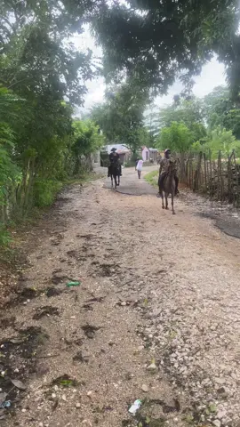 #horse #viral #fyp #jaylineojeda #maluma 