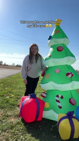 I do this for them #inflatablechristmasdecorations #inflatablechristmastree #christmasoutdoordecor 