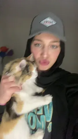 My baby girlll #fyppppppppppppppppppppppp #persiancats#ragdoll#fyp#explore