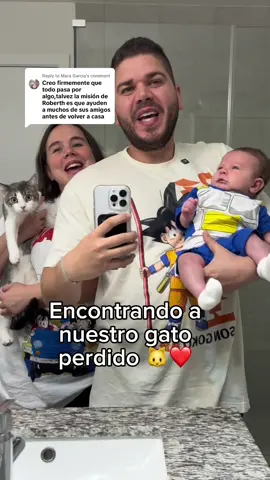 Replying to @Mara Garcia Encontrando a nuestro gato perdido 🐱❤️
