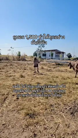 ให้กูทำขนาดนี้ก็เอาไปเป็นเมียเถอะ#อีญิ๋งญิ๋ง #สาวหนองบัวลําภู #อิจ่ม #ผู้หญิงมีกล้าม 