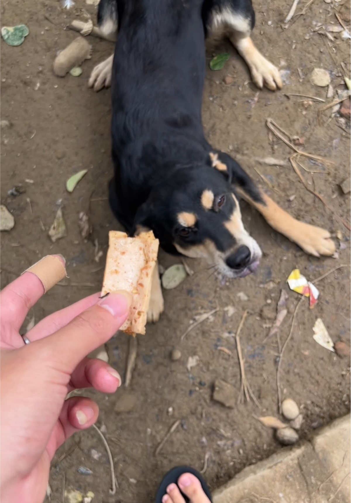 Hôm qua bạn dỗi tôi 😭