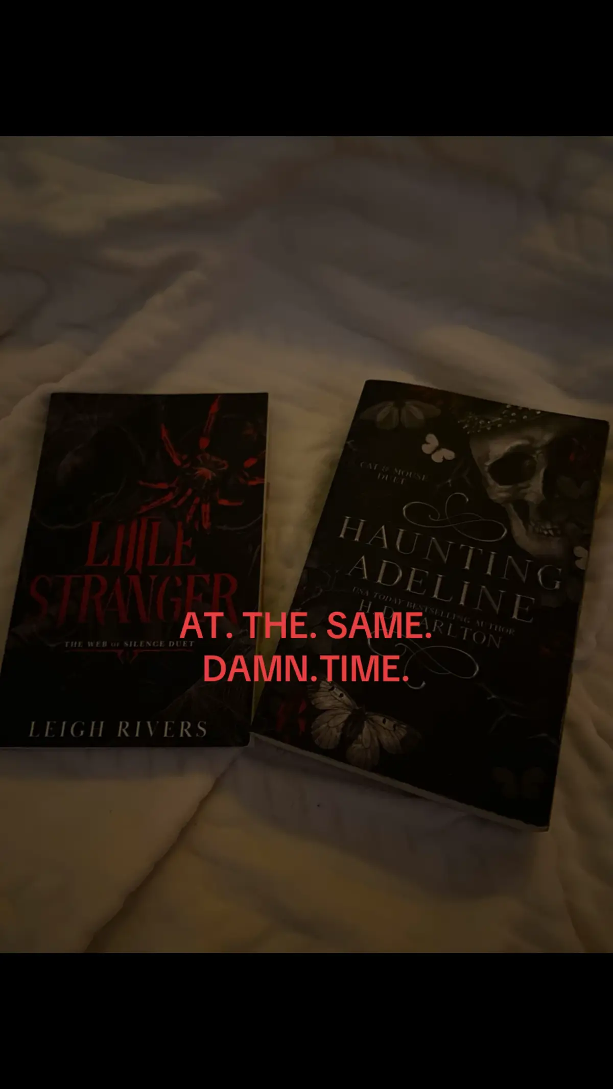 Best stalker duo😮‍💨😮‍💨 #littlestranger #hauntingadeline #books #fyp 