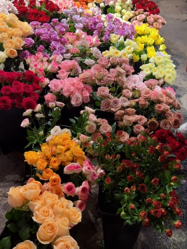 Flowers 💐✨ #reels #fyp #sunset 