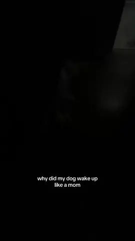 This SCARED me yall don’t understand #funnydog #jumpscare #fyp #dogsoftiktok #goldenretriever 