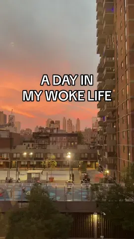 Zohran Mamdani woke nyc #Vlog #mamdani 